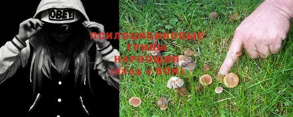 винт Горняк