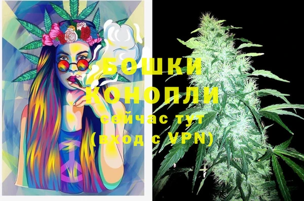 винт Горняк