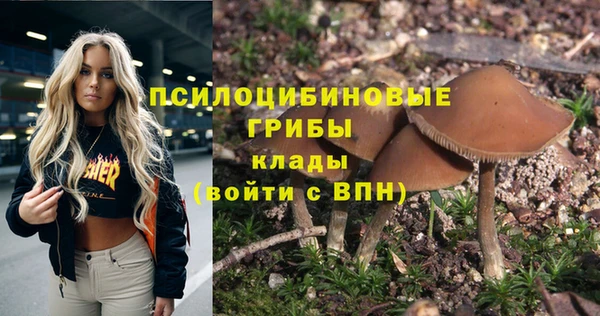 винт Горняк